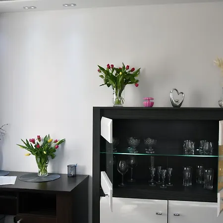Night Premium Apartment