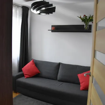 Night Premium * 크라쿠프