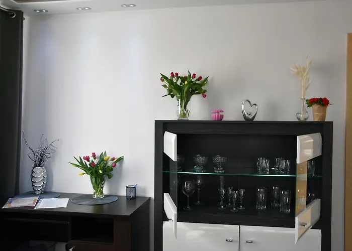 Night Premium Apartament